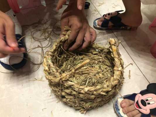 怎么做鸟窝最简单最舒服,怎么做简单的鸟窝又结实又防雨