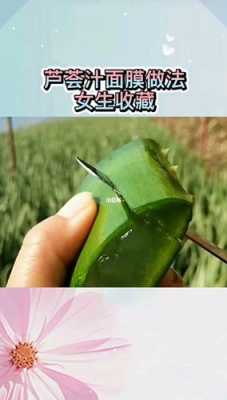 芦荟怎么调面膜,芦荟汁面膜怎么做视频