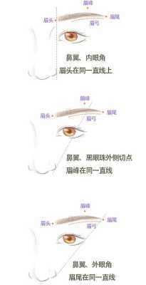 画眉怎么化（画眉的技巧和方法）