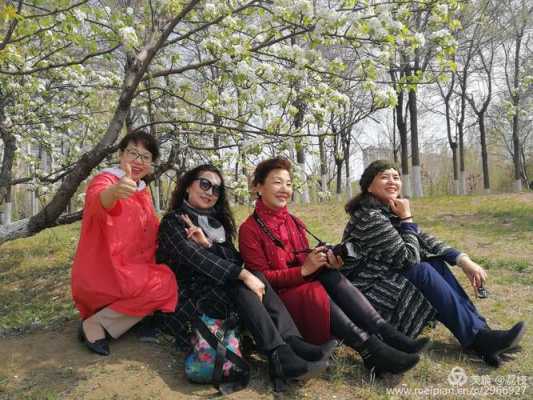 看梨花穿什么衣服拍照,炸梨花怎么做