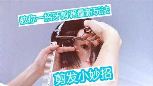 牙剪怎么拿（牙剪怎么拿图片）