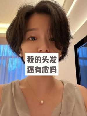 头发干硬怎么办（头发又干燥又硬怎么办）