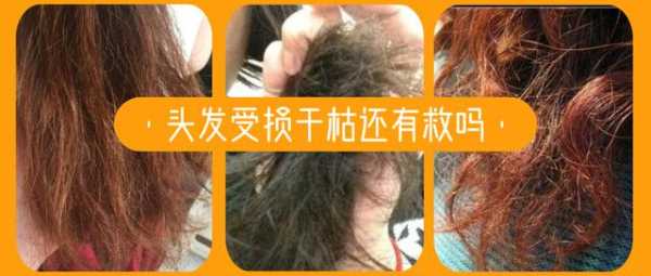 头发染烫后干枯怎么办（头发染烫后干枯怎么办小妙招）