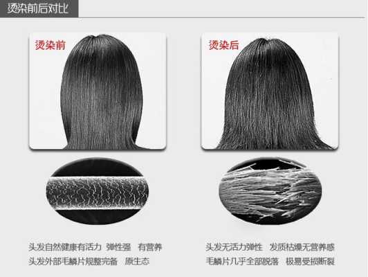 如何分辨人的头发是几度受损发质,怎么辨别脱发还是掉发