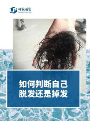 如何分辨人的头发是几度受损发质,怎么辨别脱发还是掉发