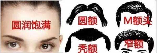什么的前额（什么的额头）