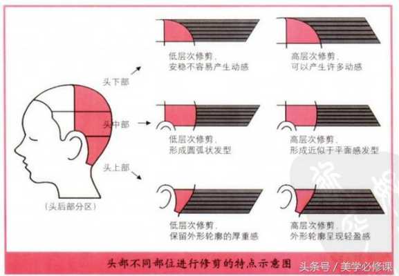初学剪发角度怎么找（剪发不同角度去角的效果）
