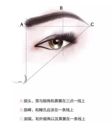 眉型怎么画才好看（眉毛怎么修才好看）