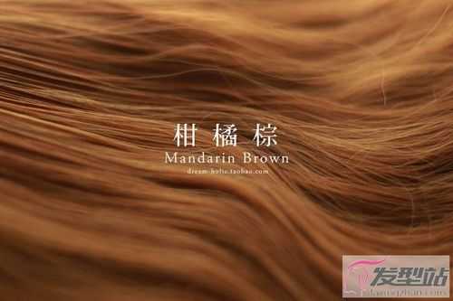 棕栗色适合什么人（咖啡色和棕栗色哪个头发颜色好看）
