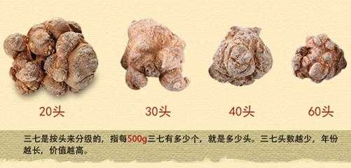三七怎么看头（三七怎么看头）
