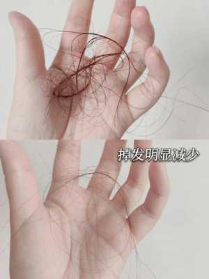 烫的卷发用什么梳子（烫的卷发用什么梳子比较好）