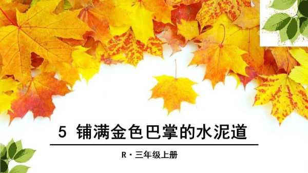 凌乱美是什么意思（铺满金色巴掌的水泥道中的凌乱是什么意思）