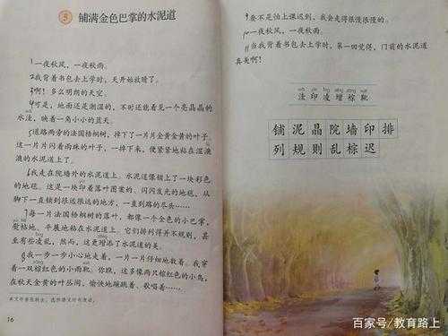 凌乱美是什么意思（铺满金色巴掌的水泥道中的凌乱是什么意思）
