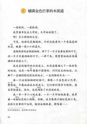 凌乱美是什么意思（铺满金色巴掌的水泥道中的凌乱是什么意思）