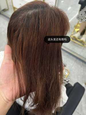 漂的头发怎么黑回来（漂发后怎么恢复发质）