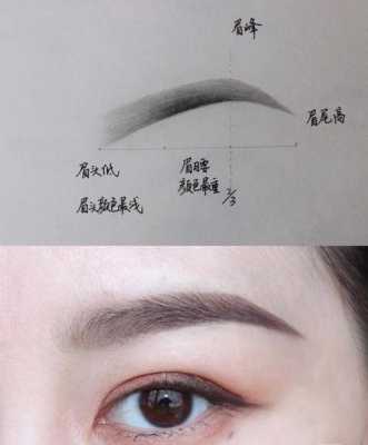 初学者怎么画好眉毛（新手小白如何画出适合自己的眉毛）