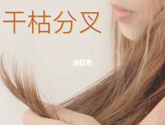 头发干燥开叉怎么办（头发干枯分叉怎么办小窍门）