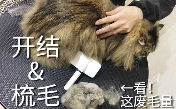 便便头怎么扎图解（便便头怎么扎图解视频）