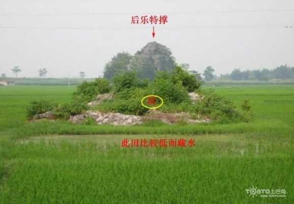 怎么对冲头发里的蓝,头发绿色用什么对冲掉色快