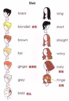 ponytail的意思,梳着长发英文怎么写的