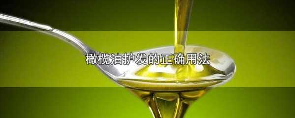 食用橄榄油怎么护发（橄榄油护发的正确使用方法是什么？一般几天使用一次）