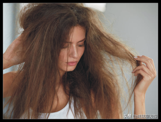 头发干燥毛躁怎么变柔顺0成本,女生头发枯燥怎么办呢