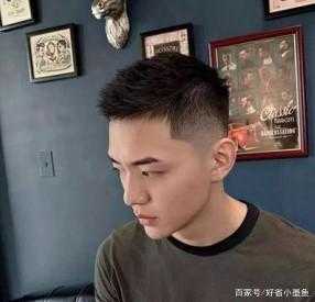 头发偏硬适合什么发型（头发丝硬适合什么发型）
