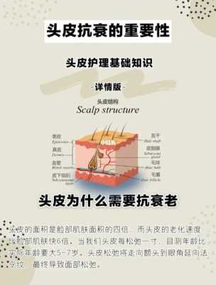 怎么保养头皮毛囊,怎么护理头发毛囊最有效
