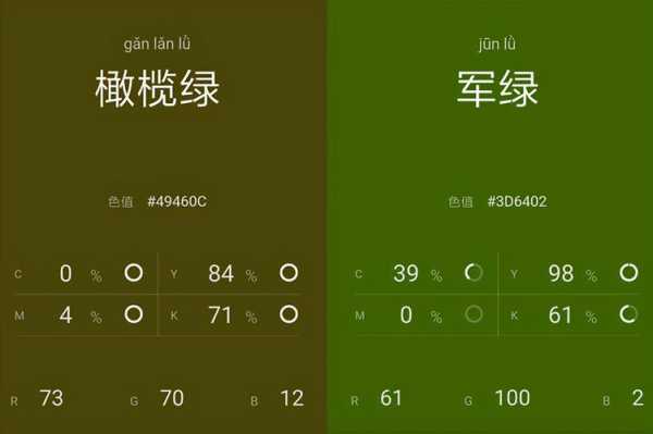 今年流行的绿色叫什么（今年流行的绿色叫什么名字）