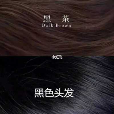 黑茶色是什么色号（黑茶色是什么色号?）