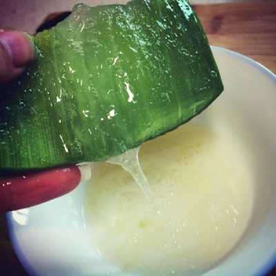 芦荟和蜂蜜怎么做面膜（芦荟和蜂蜜怎么做面膜好）