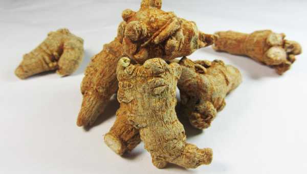 三七长什么样,三七张什么样图片好看