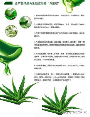 芦荟美容正确使用方法,芦荟的美容功效和作用
