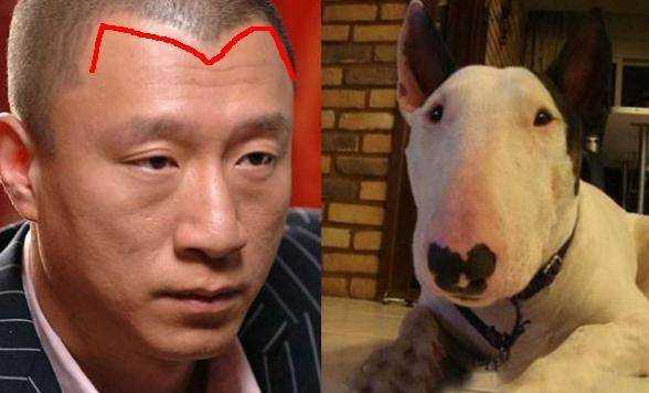 男人长美人尖代表什么（男人长美人尖代表什么生肖）