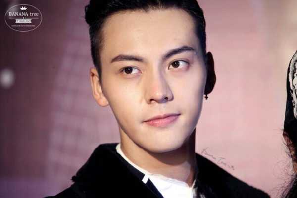 陈伟霆是什么脸型,陈伟霆是什么脸型的人