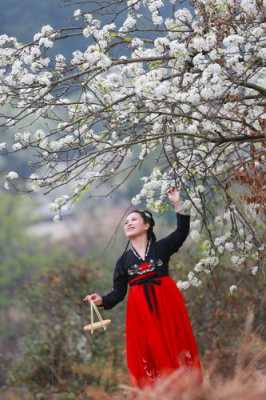 看梨花穿什么衣服拍照好,看梨花穿什么衣服图片大全