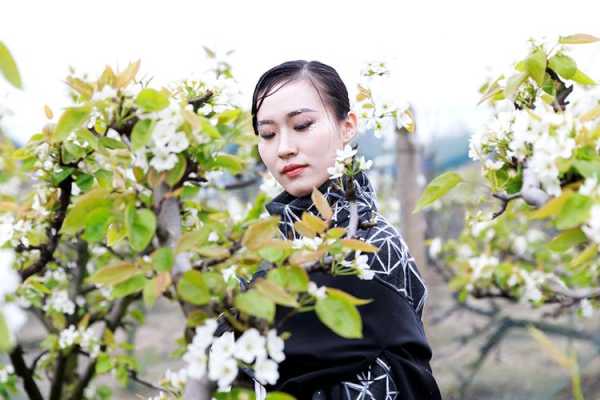 看梨花穿什么衣服拍照好,看梨花穿什么衣服图片大全