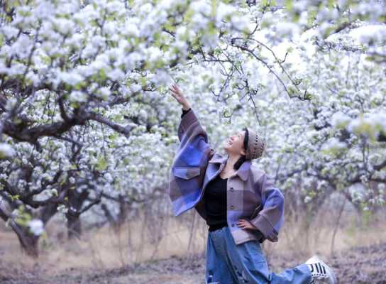 看梨花穿什么衣服拍照好,看梨花穿什么衣服图片大全
