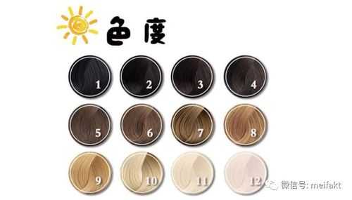 染发怎么学（染发怎么学调色最快简单）