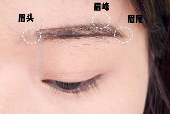 修眉毛学生党新手教程,学生眉怎么画才好看