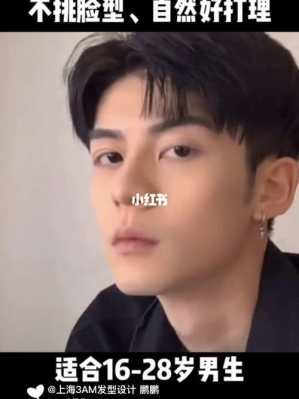 三七分染头发会好看吗,三七分染什么颜色好看男
