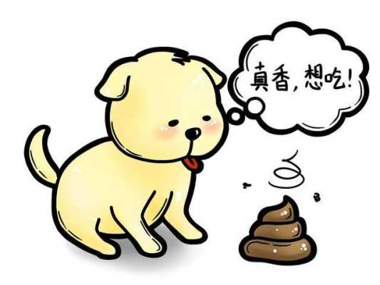 狗狗大便有点黄而且很软是怎么回事,头发黄细软是什么原因引起的