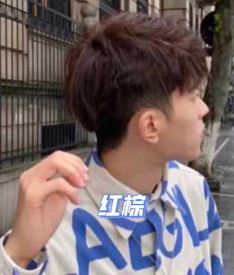 求高手，皮肤略黑的男生，染发什么颜色好看些，谢谢了,2017男生染发流行什么颜色的