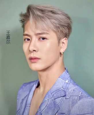 王嘉尔发型叫什么名字（王嘉尔同款发色）