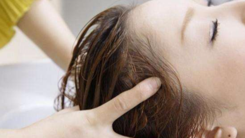 头发老是出油怎么办,头发出油怎么快速解决小妙招
