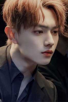 男星什么脸（男星脸型）