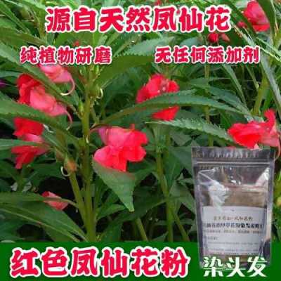 指甲草染头发怎么染（新鲜指甲草染发怎么染）