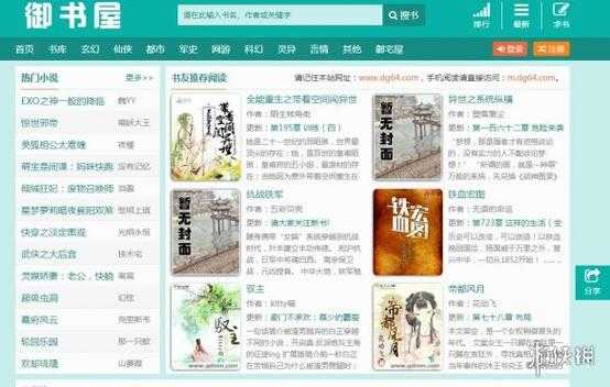 什么御网址（什么网址什么）
