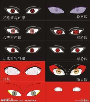 眼睛的眼的组词,眼护叫什么名字