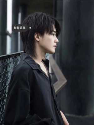 狼发发型是什么（狼发发型有什么特点）
